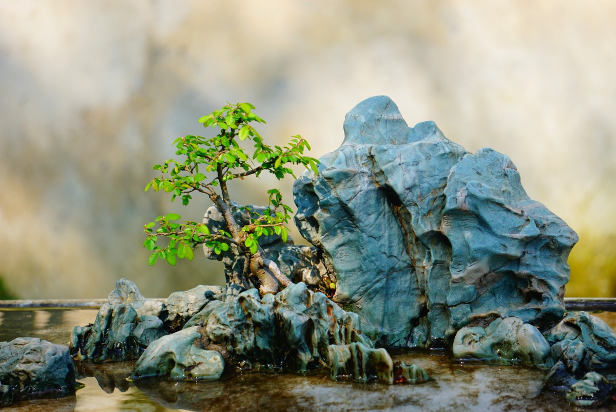 古鎮(zhèn)游玩，有一種說走就走的旅行