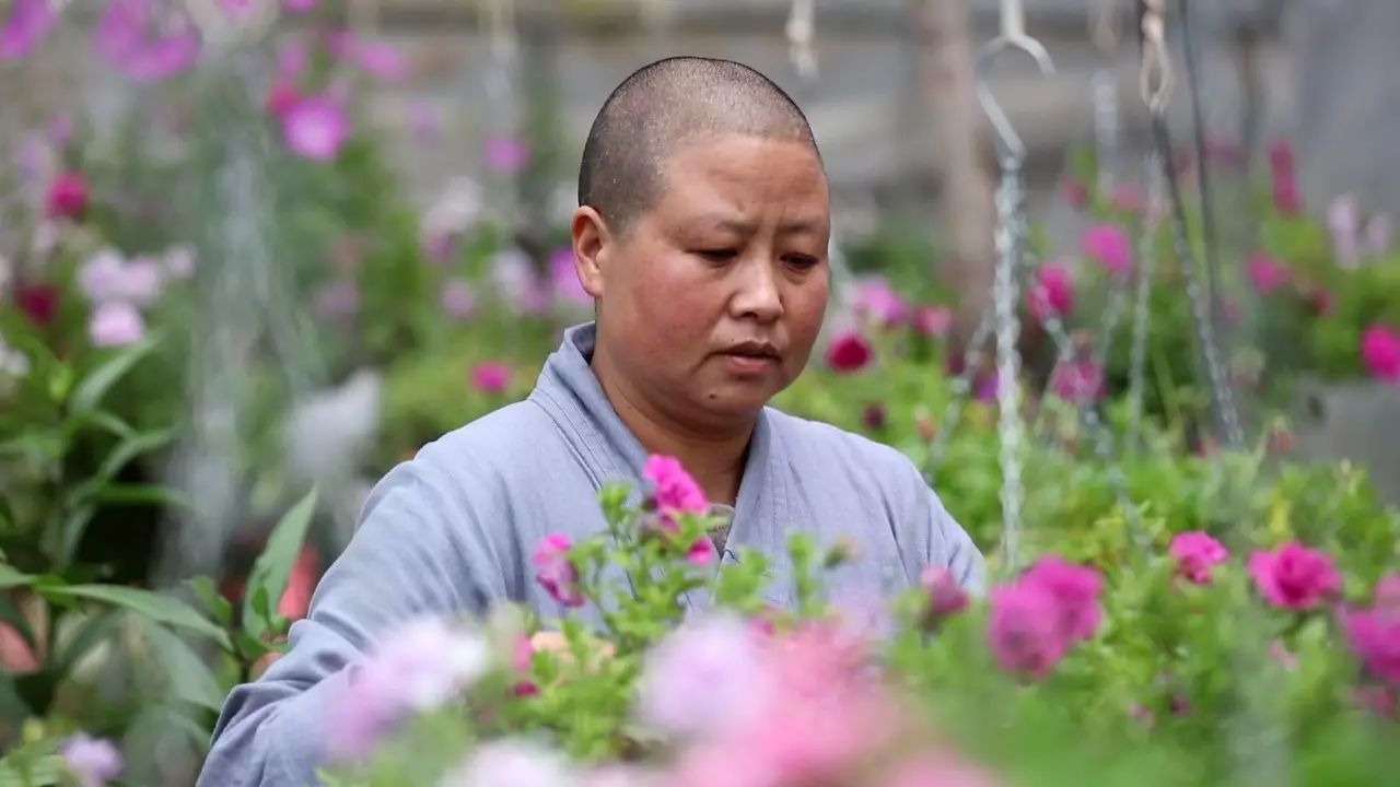 寂照庵--中國最文藝尼姑庵：心若無塵一花一世界