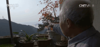 千島湖底水下古城，一筆一畫勾繪故鄉(xiāng)的情懷