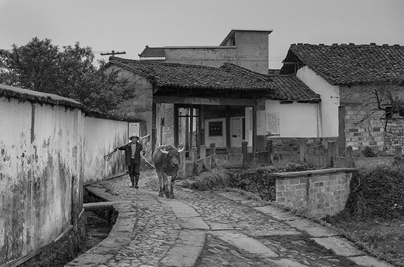 古村落博物館——金溪竹橋村落