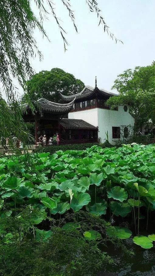 中國古建筑四大類別 北京四合院徽州民居陜北窯