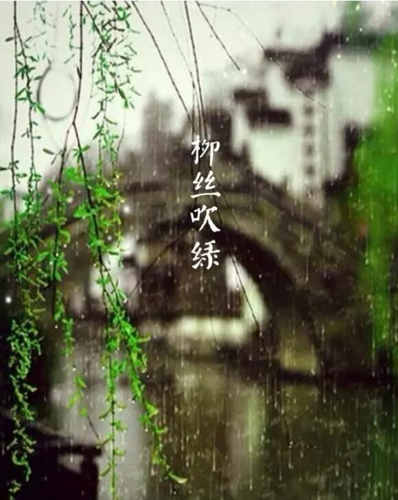 雨水：天生一水，散而為雨