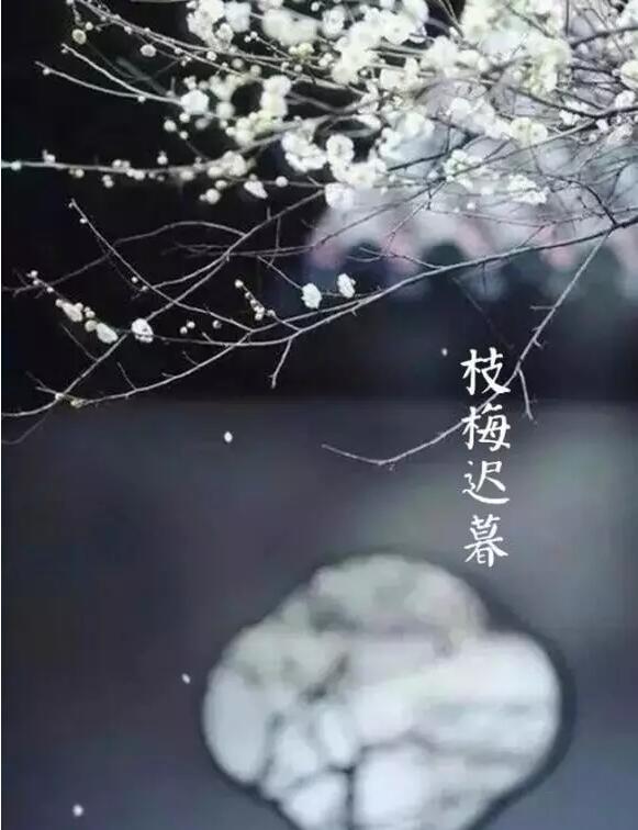 雨水：天生一水，散而為雨