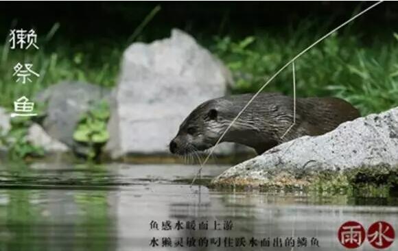 雨水：天生一水，散而為雨