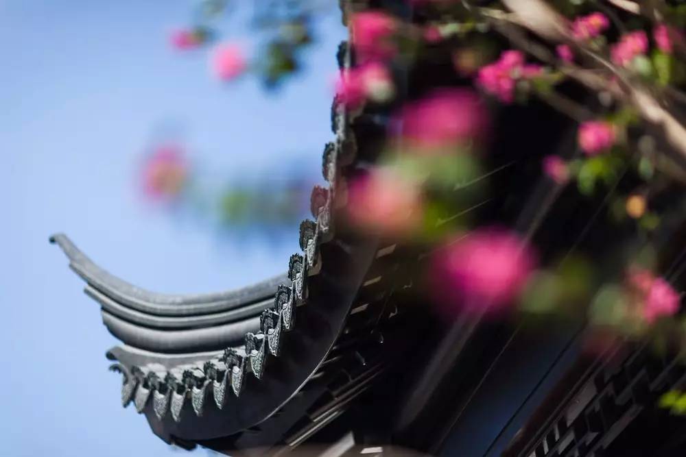 古典園林設(shè)計，精致的東方審美