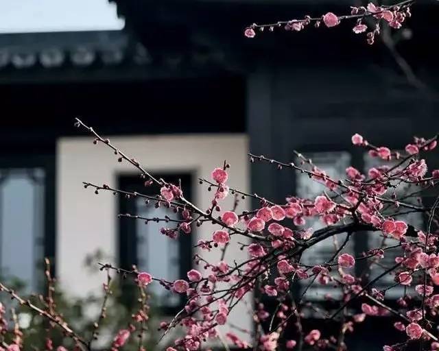 古典園林設(shè)計，精致的東方審美