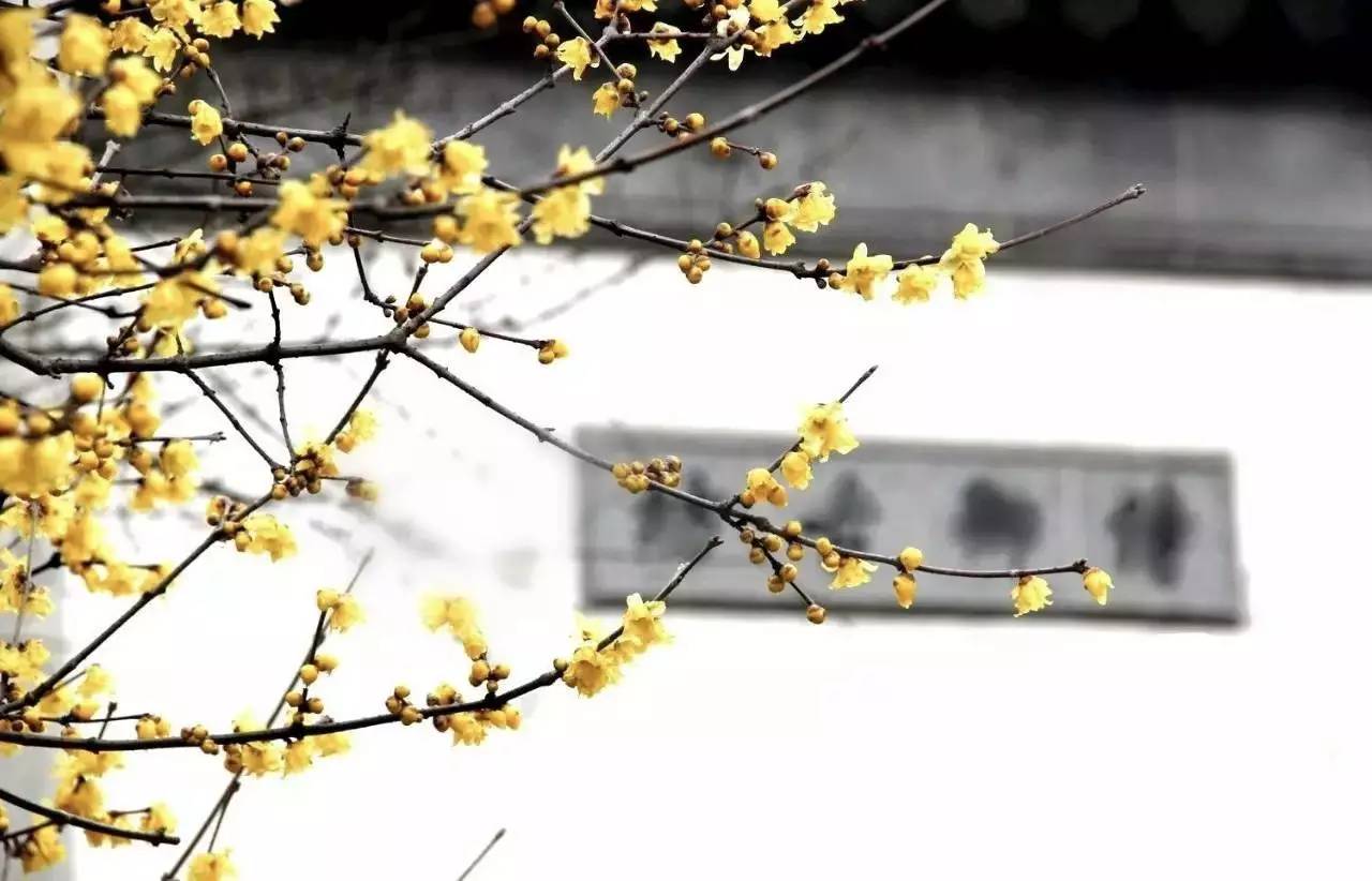 古典園林設(shè)計，精致的東方審美