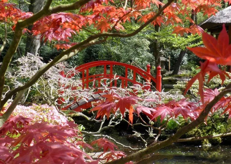 園林景觀:日本古典園林藝術(shù)淺析