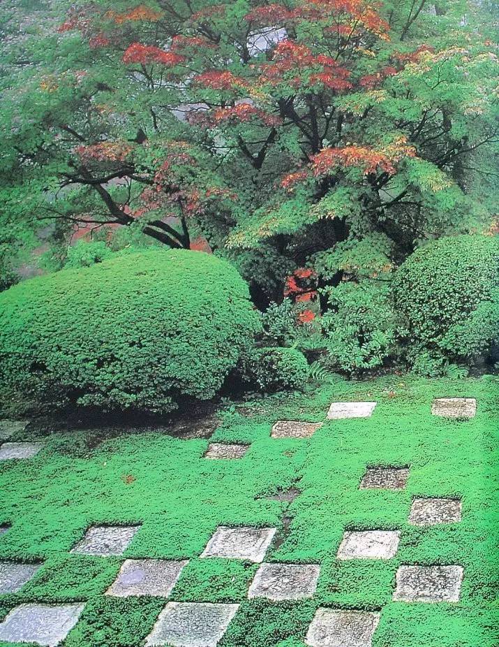 園林景觀：日本古典園林藝術(shù)淺析