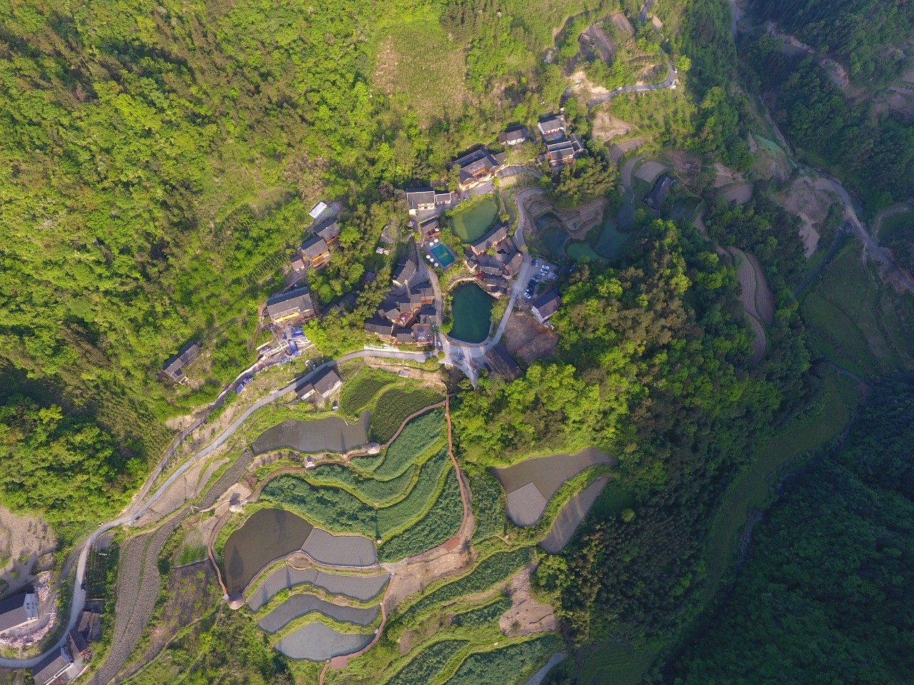 張家界·五號山谷，山谷在重生！