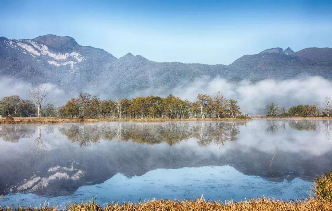 西顧·望城山居，闖入仙境等待一場花開的心動