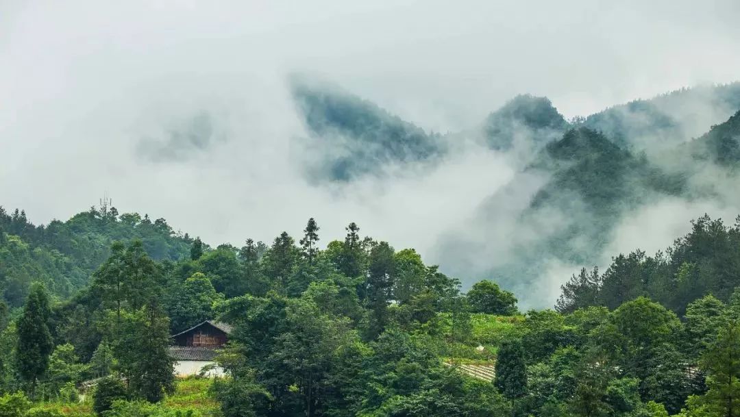 西顧·望城山居，闖入仙境等待一場花開的心動