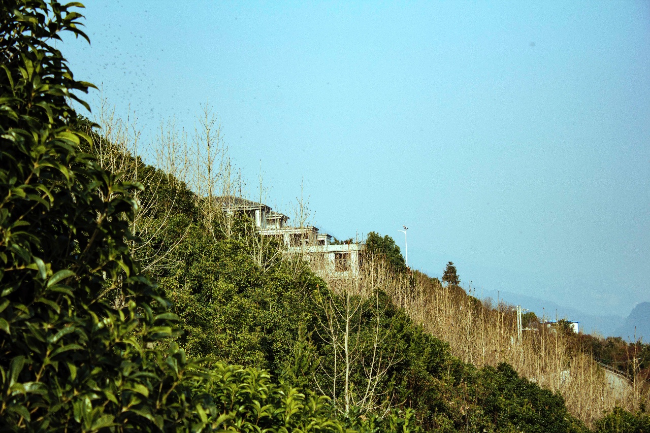 西顧·望城山居，闖入仙境等待一場花開的心動