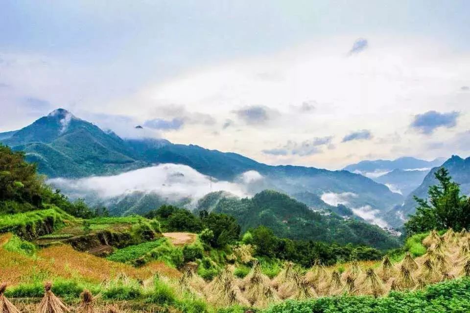 杭州·相見茶舍，若無相欠怎會相見