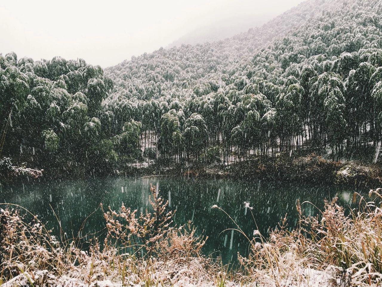 莫干山·玖悅度假酒店，沉浸在風(fēng)景里