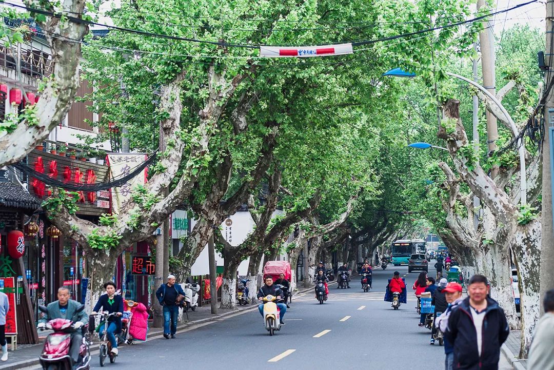 蘇州·蘇舍，在平江路享受蘇州的慢與蘇