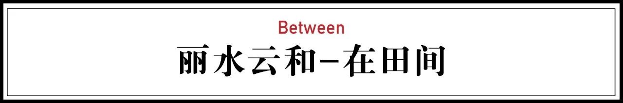 麗水云和·在田間，中國傳統(tǒng)水墨山水的意境