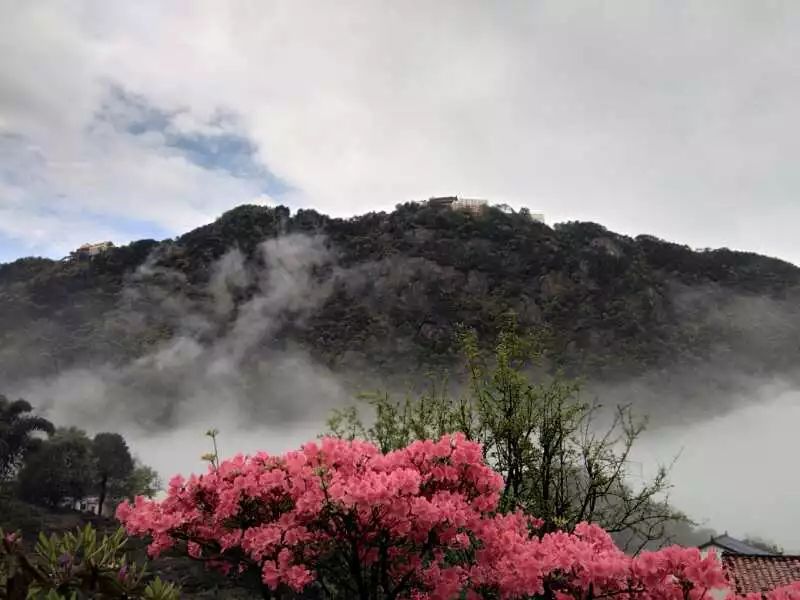 九華山·開元美途，置身俗塵外身心天地寬