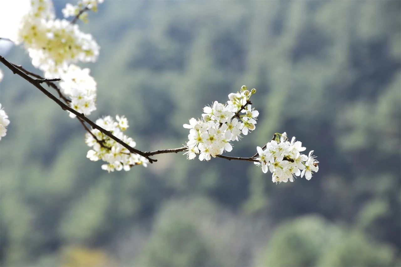 桐廬·水喜，太陽(yáng)東升西落便是一天的標(biāo)記