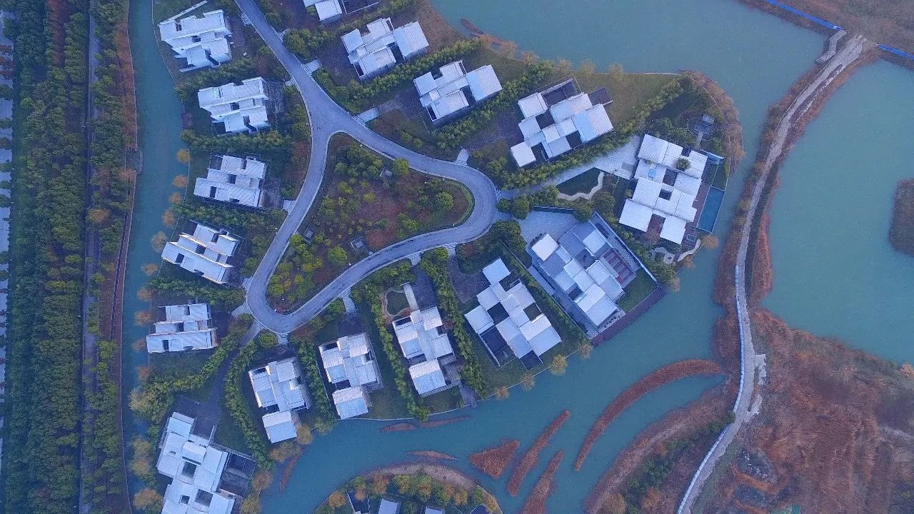 中香界·上海別院，萬水千山總是情！