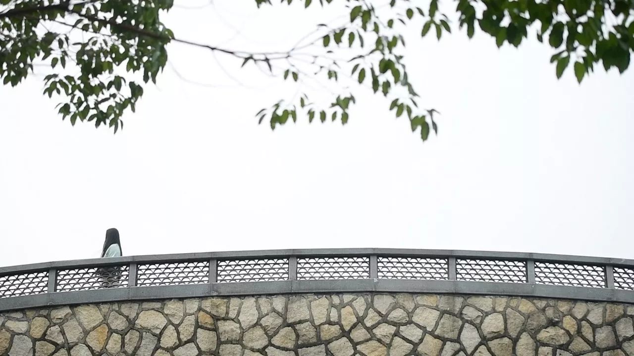 中香界·上海別院，萬水千山總是情！
