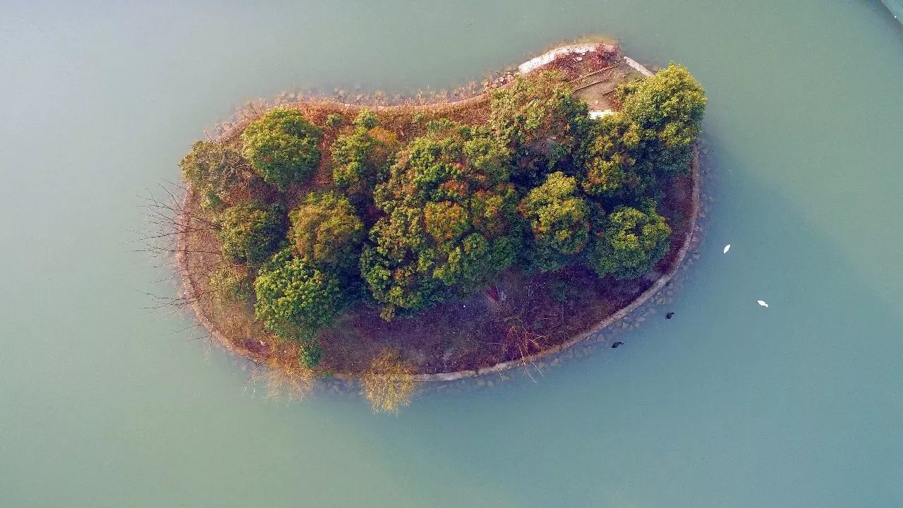 中香界·上海別院，萬水千山總是情！