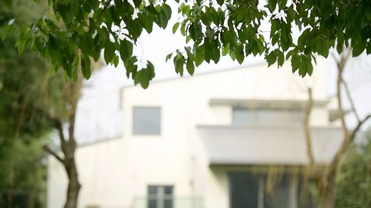 中香界·上海別院，萬水千山總是情！