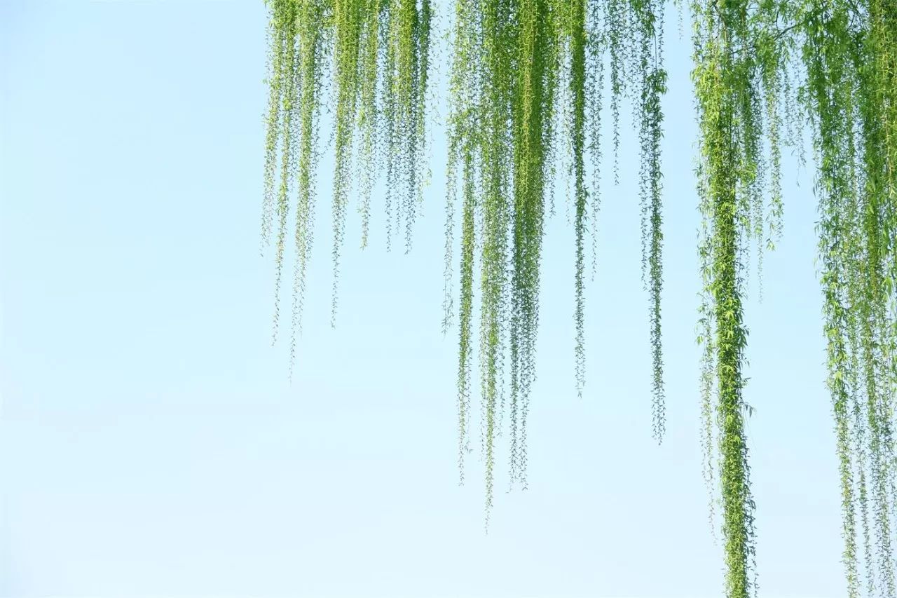 中香界·上海別院，萬水千山總是情！
