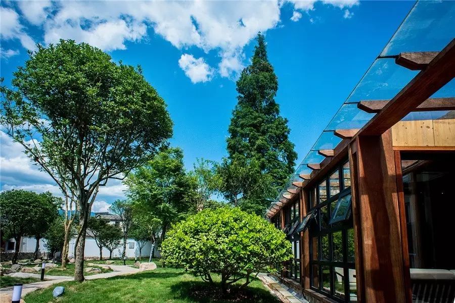 松陽(yáng)·蔦舍，江南秘境里最溫暖的落腳處
