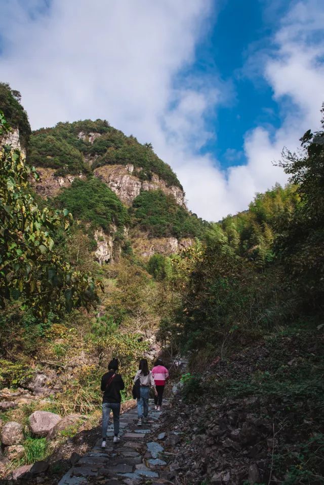 麗水·曼山居，依山而居便不知人間是何夕