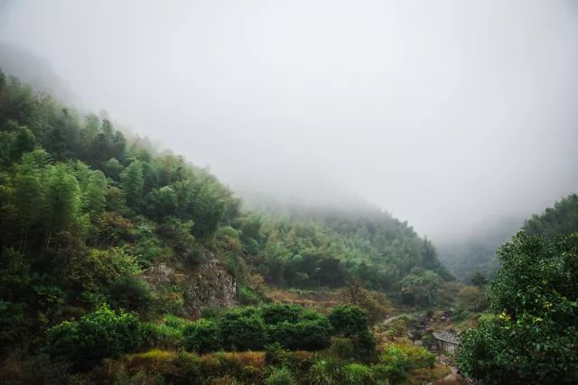 麗水·曼山居，依山而居便不知人間是何夕