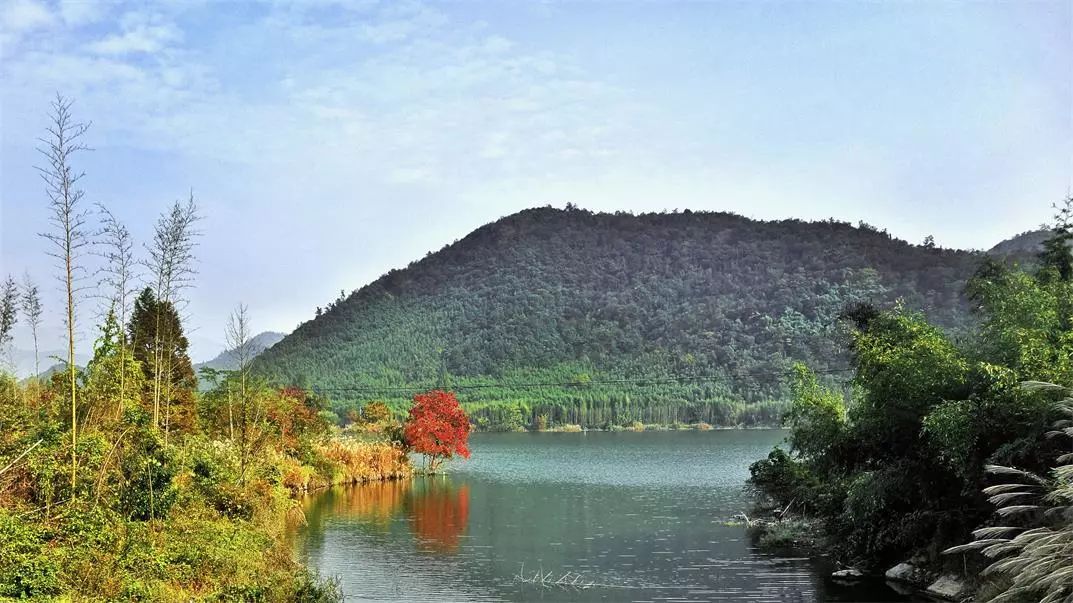 莫干山·宿里，一處桃花源建一處詩意棲居之所