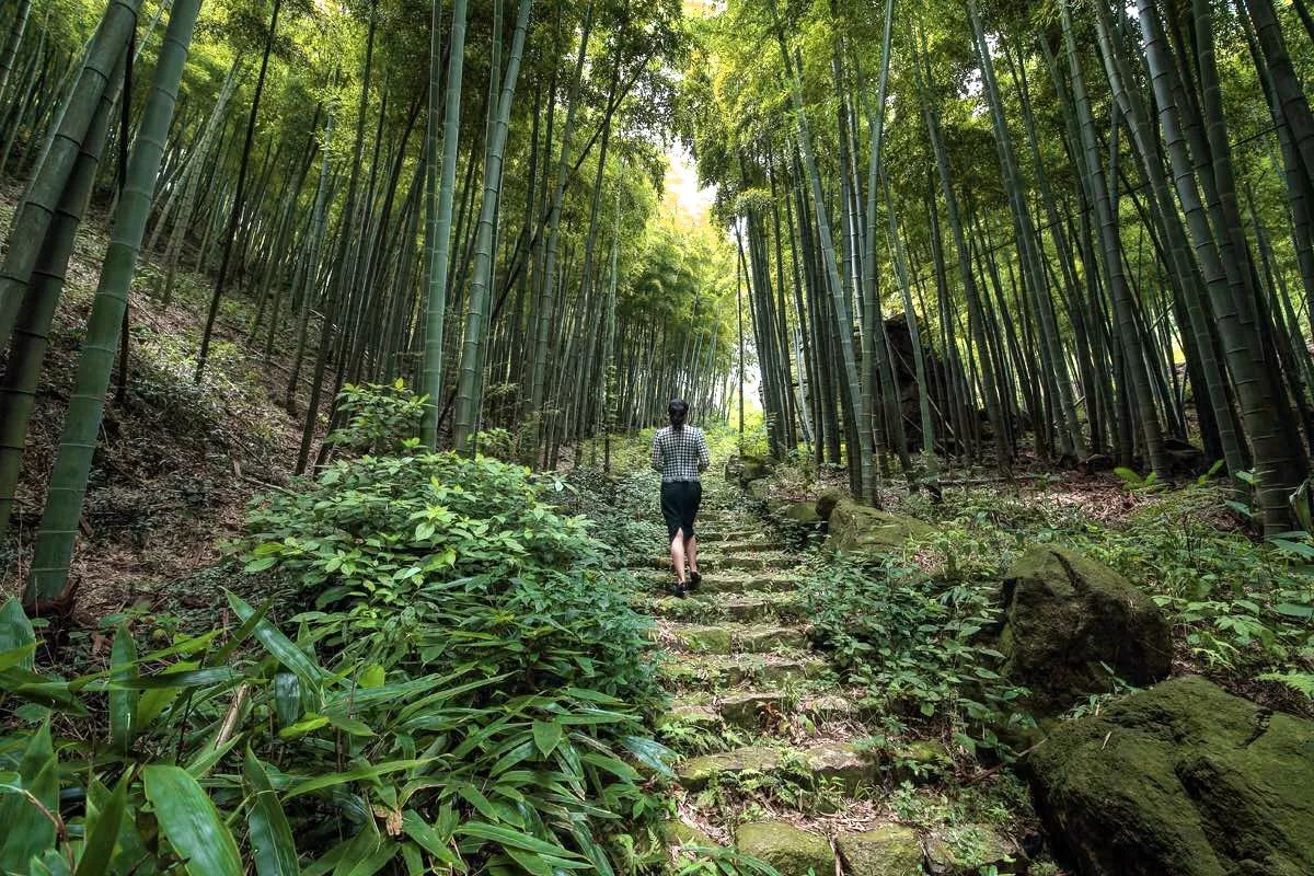 莫干山·宿里，一處桃花源建一處詩意棲居之所