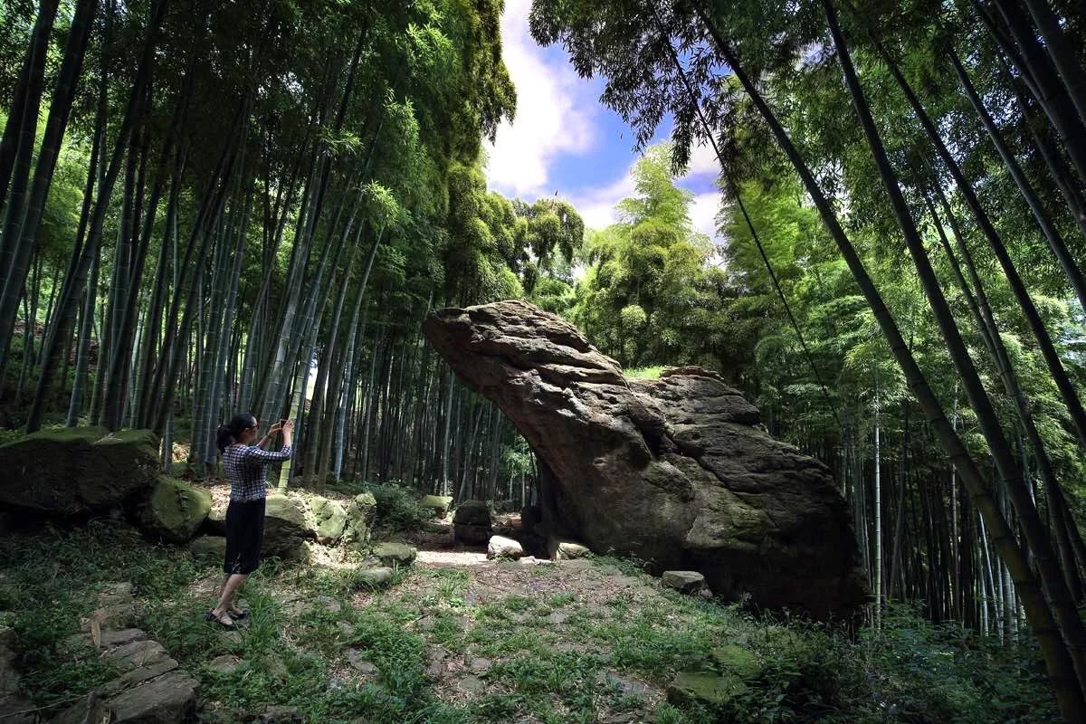 莫干山·宿里，一處桃花源建一處詩意棲居之所