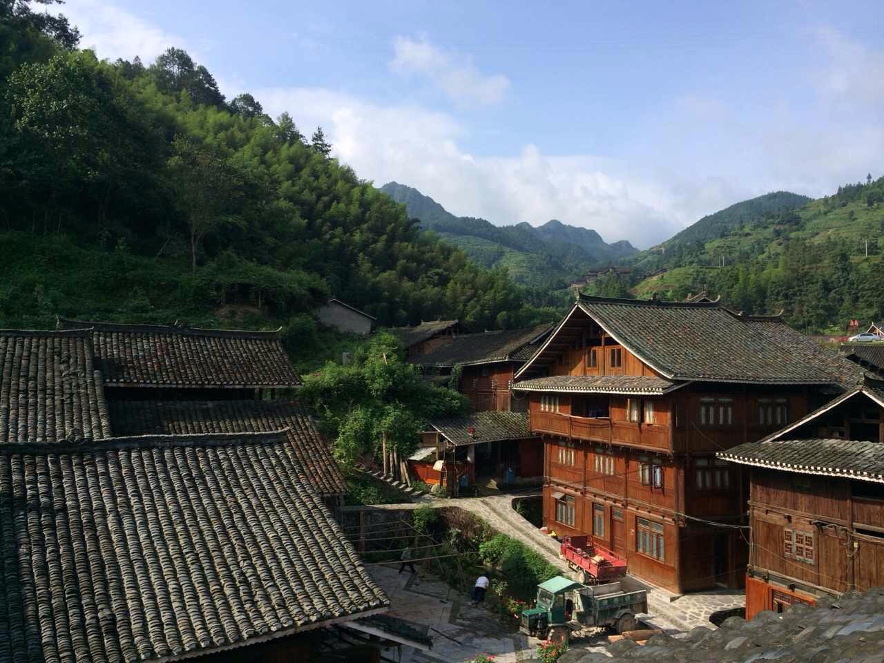 南京·老樹院子山囿里,與時(shí)光慢揉在一起彼此沉