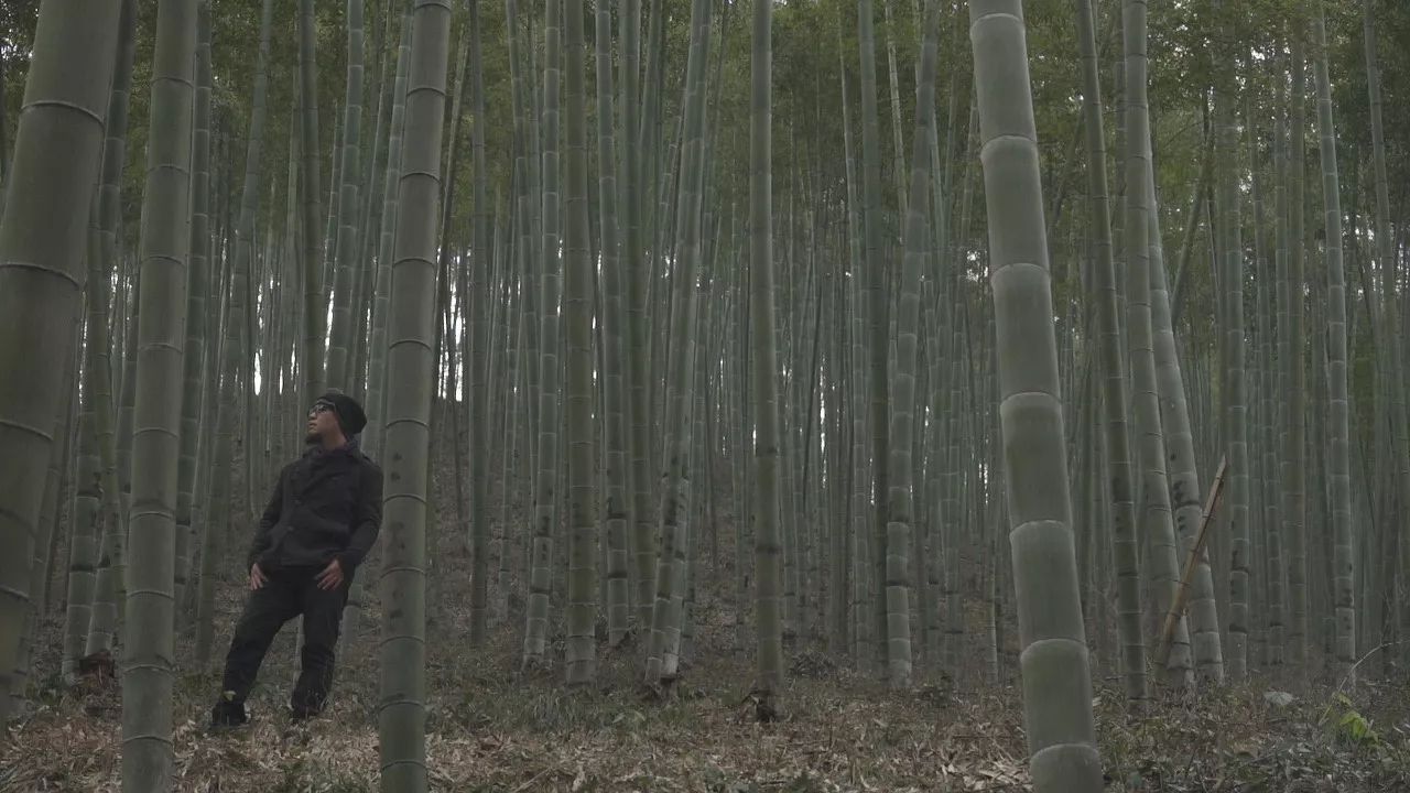 桐廬·云溪上，想要大片的田園被云朵環(huán)繞!