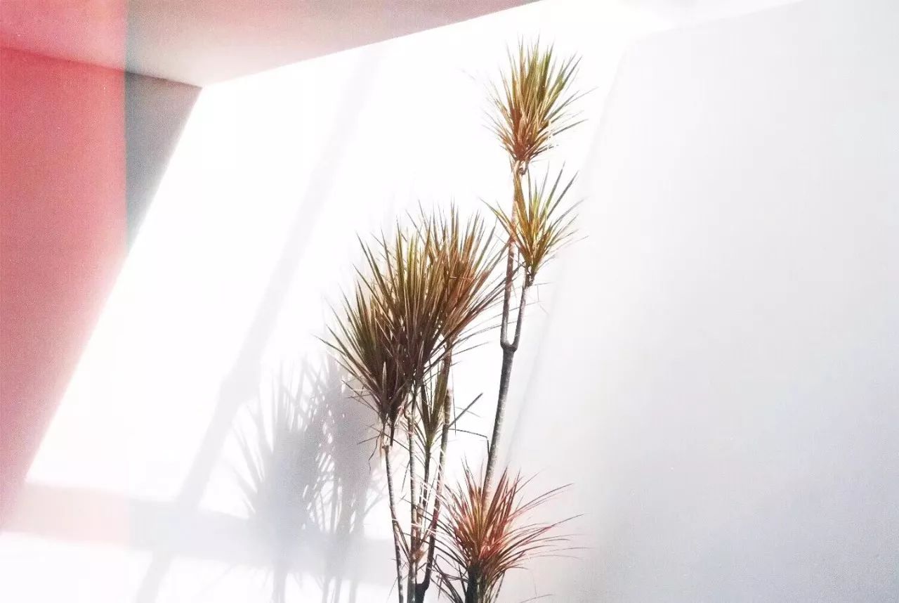 杭州·簡(jiǎn)象，一種別樣的復(fù)古情調(diào)