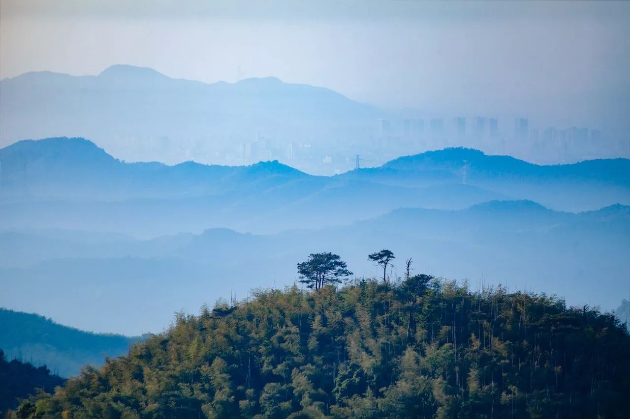 莫干山·三秋美宿，一日不見三秋盼兮