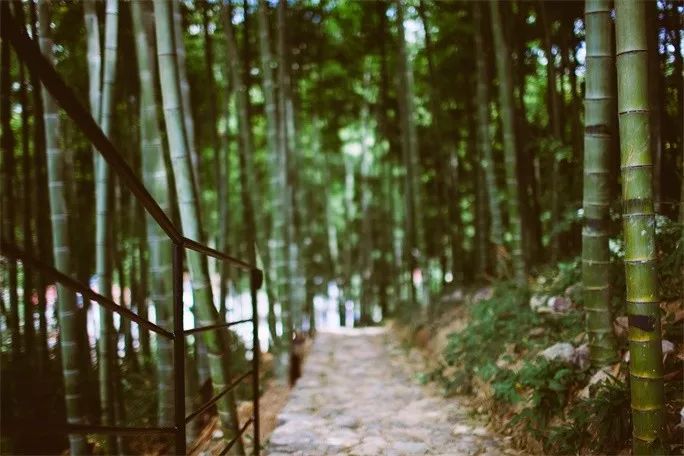 莫干山·三秋美宿，一日不見(jiàn)三秋盼兮