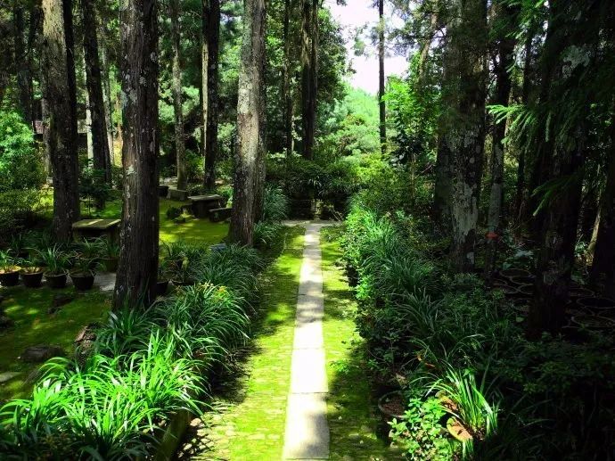 “中國最美寺院”寂照庵，房子象征著家是情感