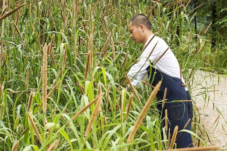 青城山·路之青城，山溝里的豬圈民宿