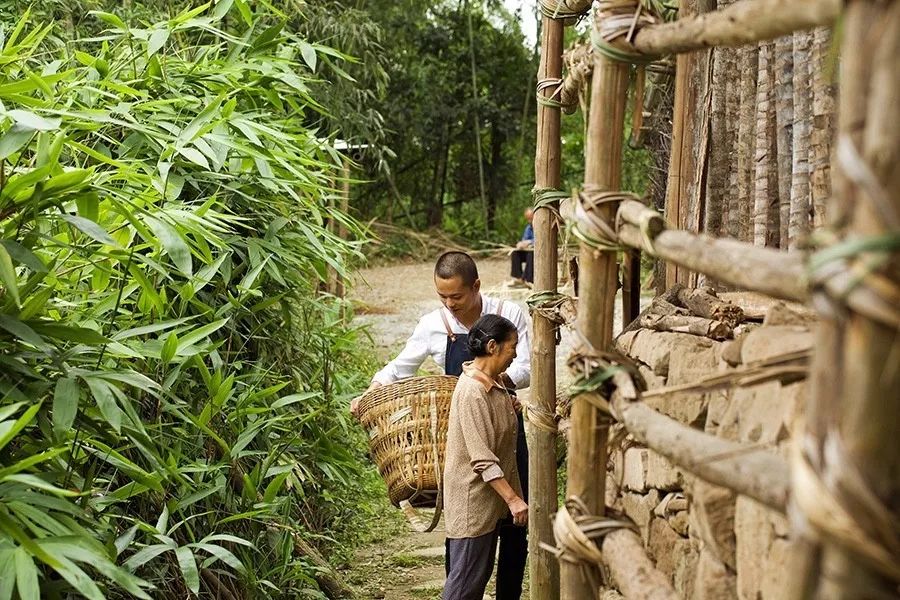 青城山·路之青城，山溝里的豬圈民宿