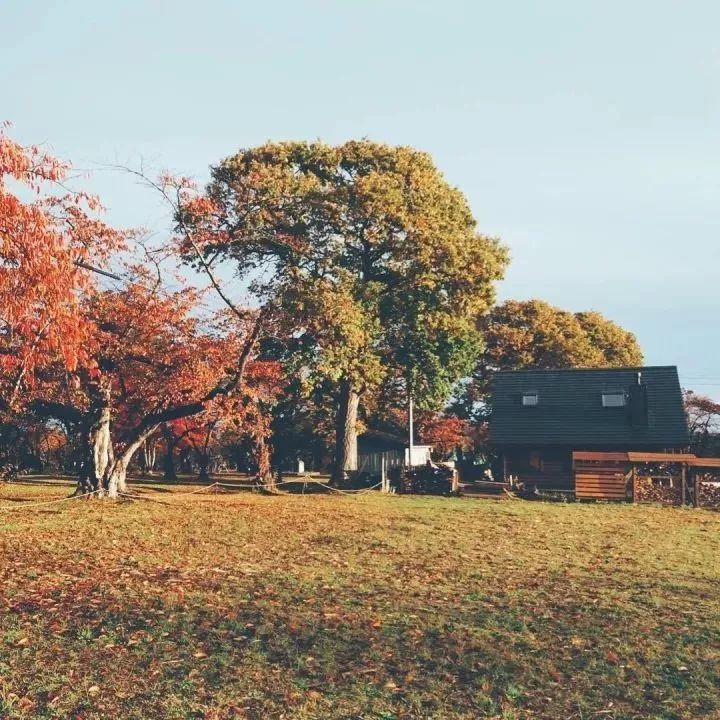 北海道的海濱小鎮(zhèn)，一家四口的日子才最幸福