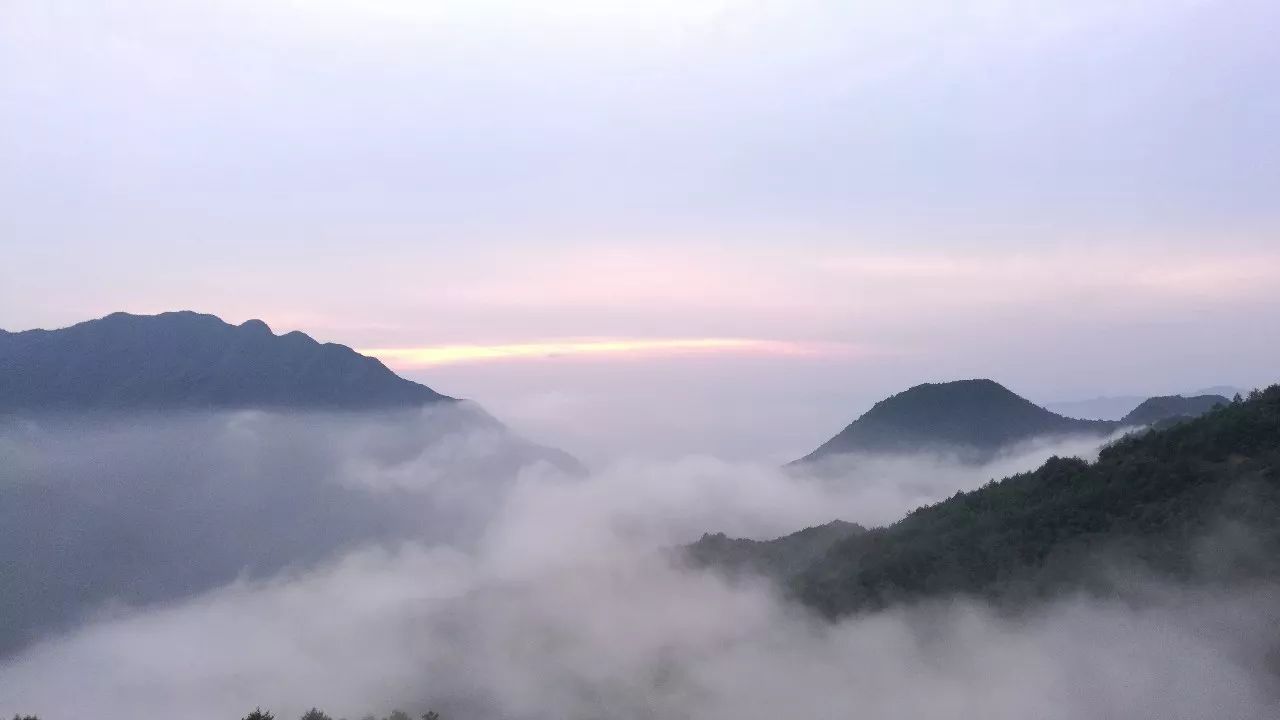 麗水·云逸遠山，在牡丹亭有個仲夏夜之夢