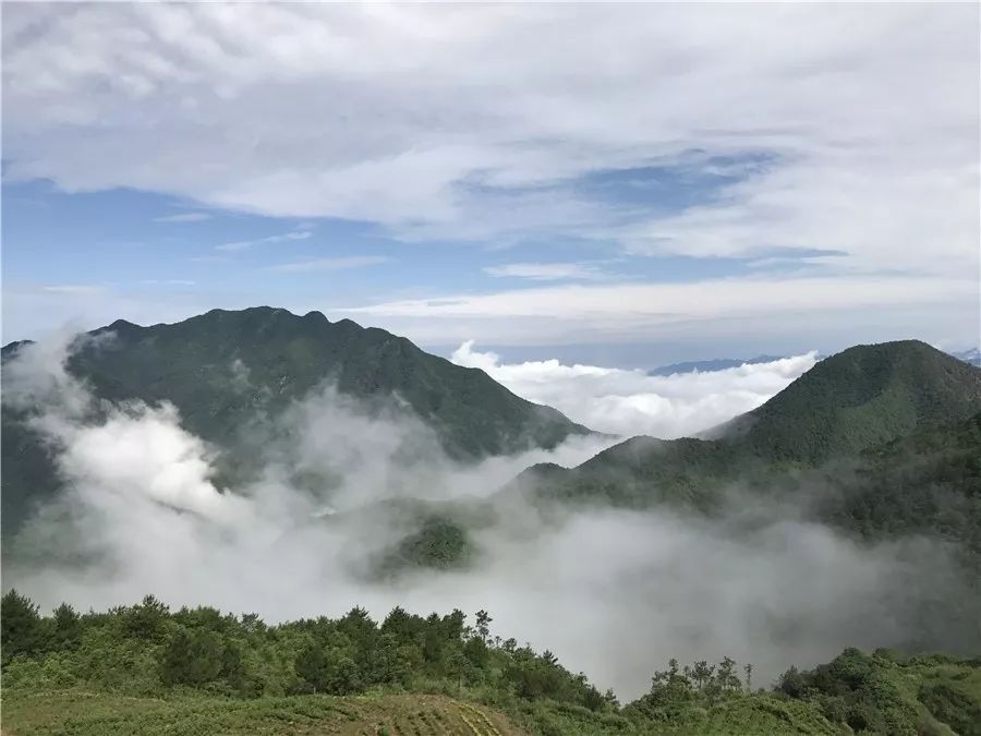 麗水·云逸遠山，在牡丹亭有個仲夏夜之夢