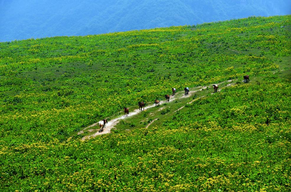 皇木鎮(zhèn)·壹間房，住進(jìn)云霧間愛上一座城