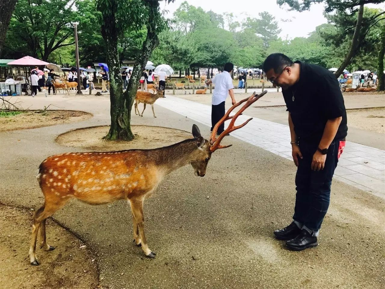 武夷山·舊街山宿，理想生活就是慢下來