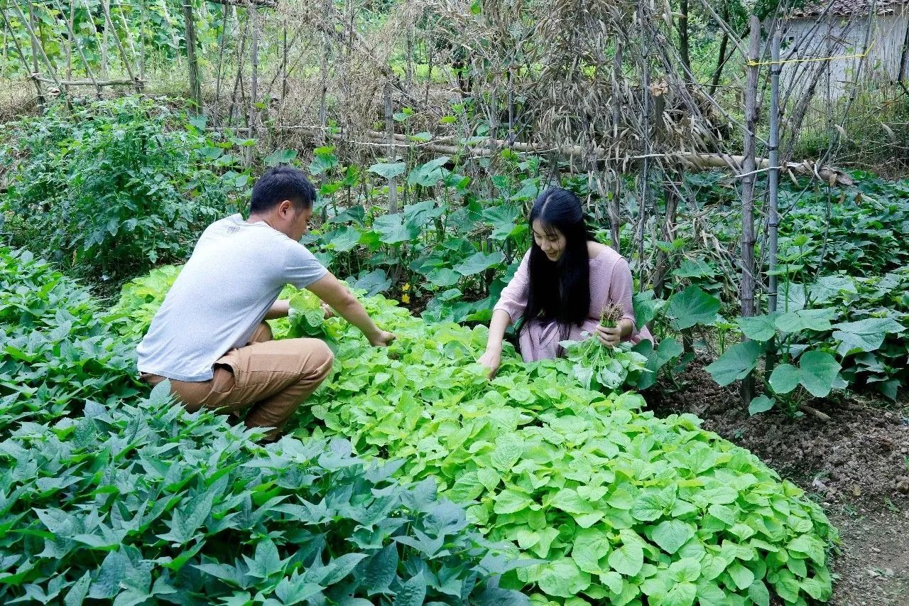 村上酒舍，體驗古村生活一起慢慢變老