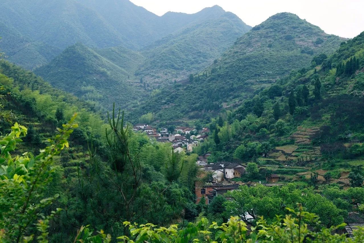 村上酒舍，體驗(yàn)古村生活一起慢慢變老