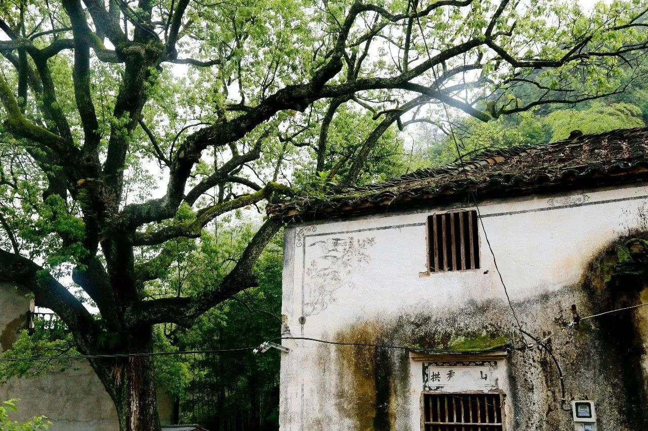 村上酒舍，體驗(yàn)古村生活一起慢慢變老